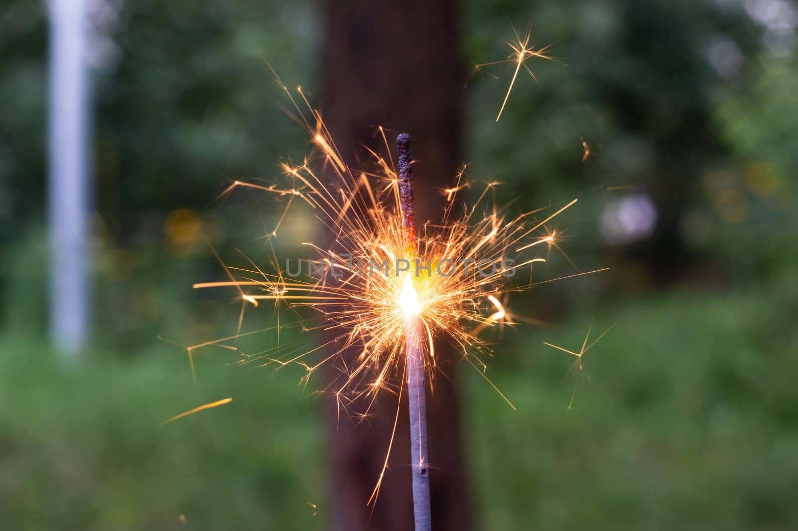 Firing bengali light in hand with blurred bakground close-up view.