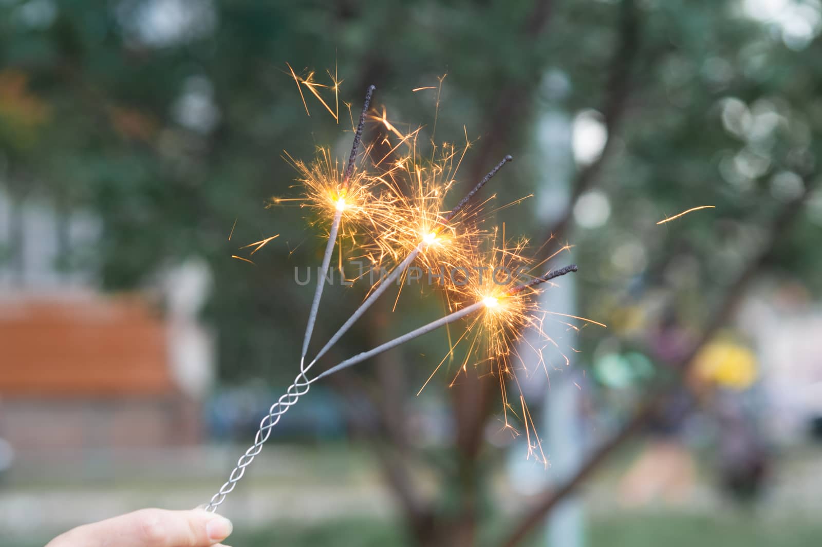 Firing triple bengali light in hand with blurred bakground close-up view.