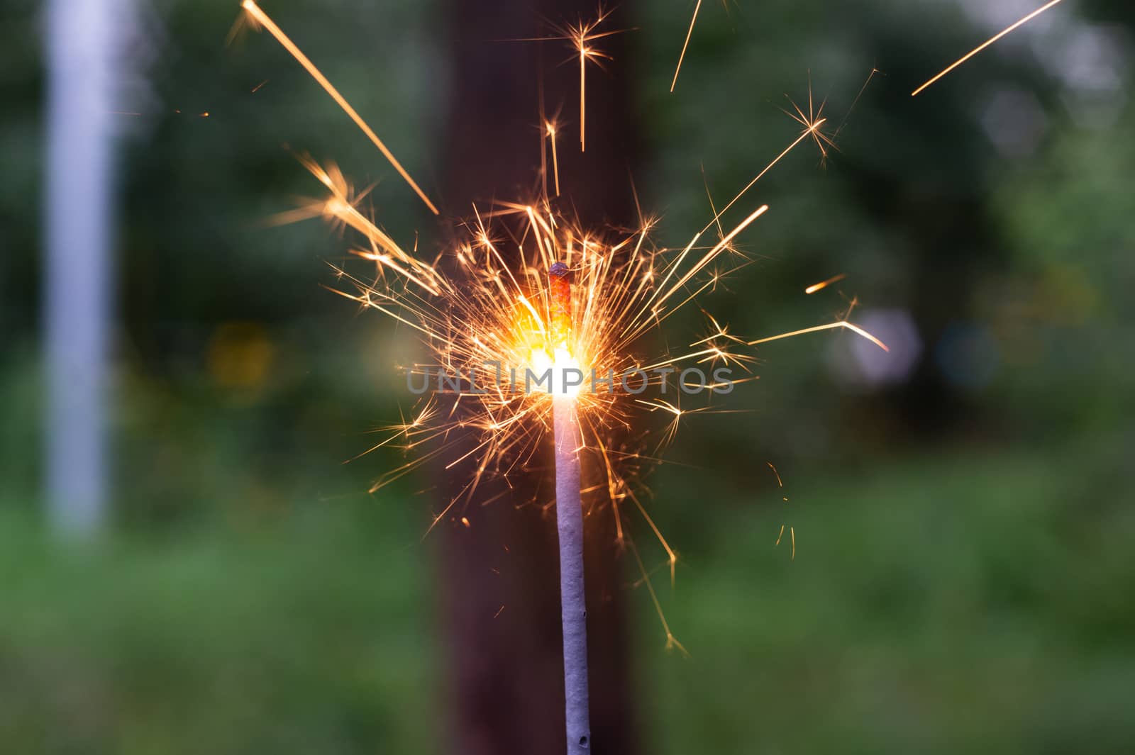 Firing bengali light in hand with blurred bakground close-up view.