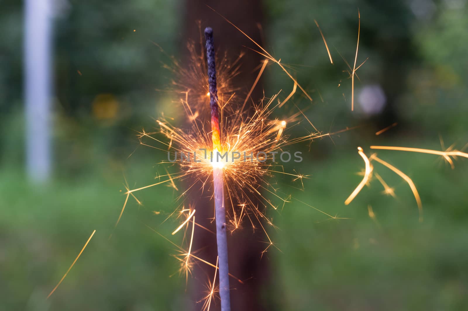 Firing bengali light in hand with blurred bakground close-up view.