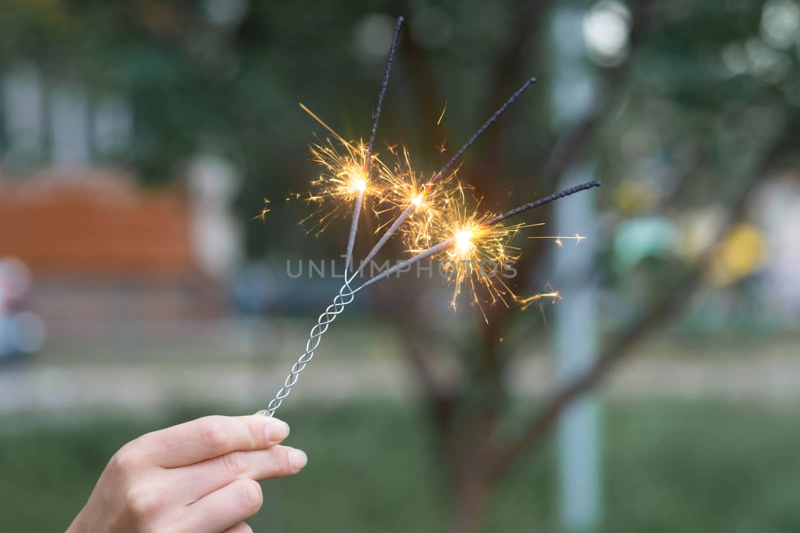 Firing triple bengali light in hand with blurred bakground close-up view.