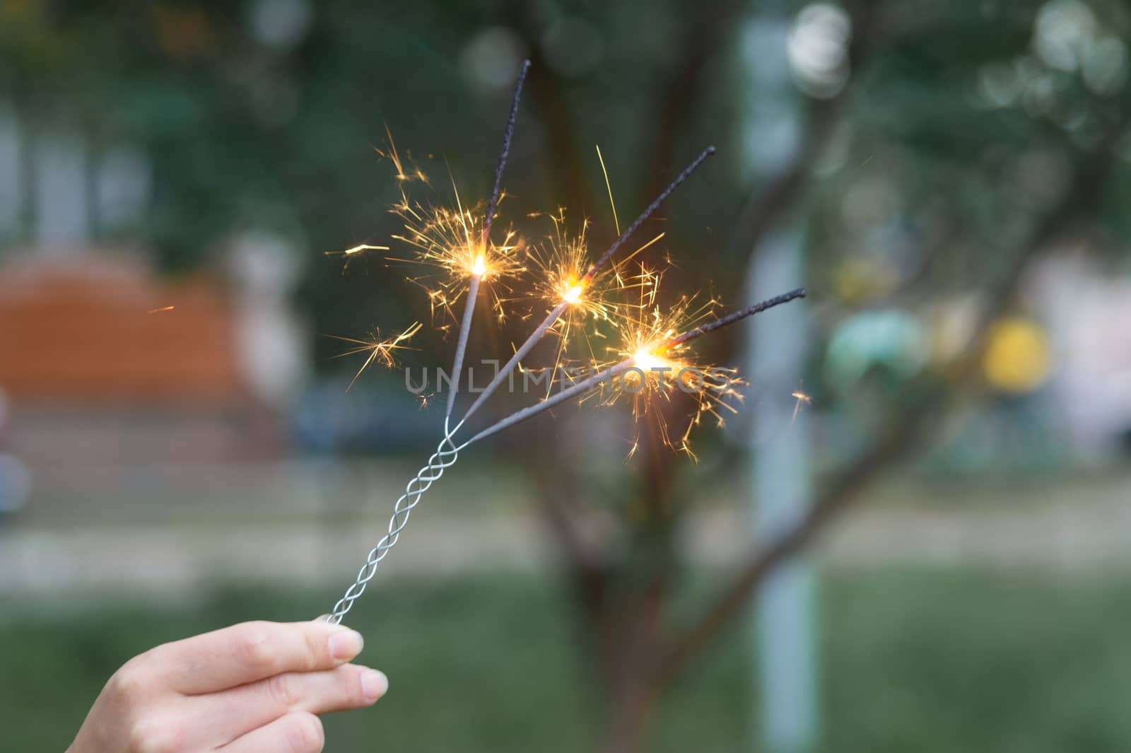 Firing triple bengali light in hand with blurred bakground close-up view.