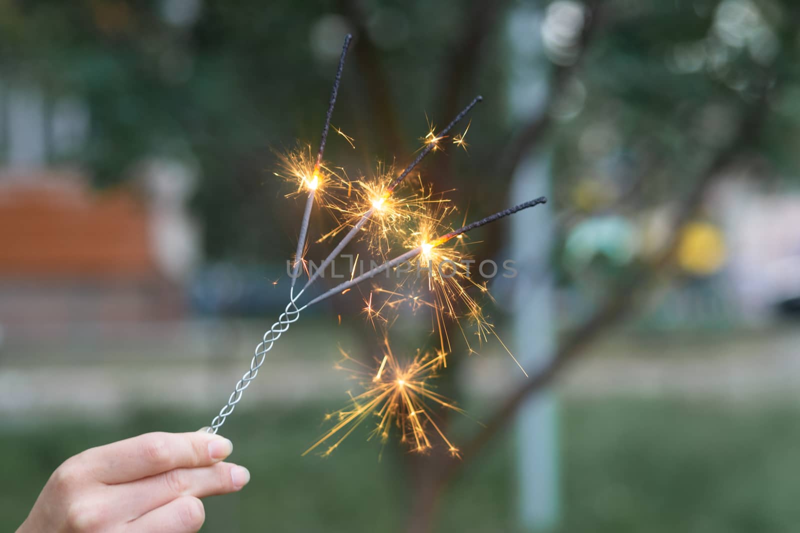 Firing triple bengali light in hand with blurred bakground close-up view.