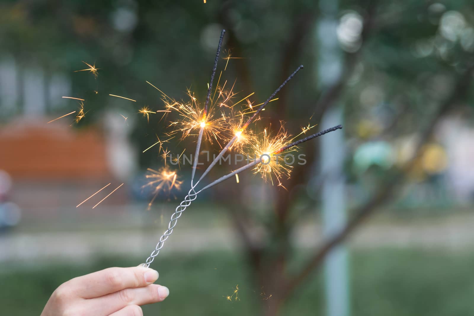 Firing triple bengali light in hand with blurred bakground close-up view.