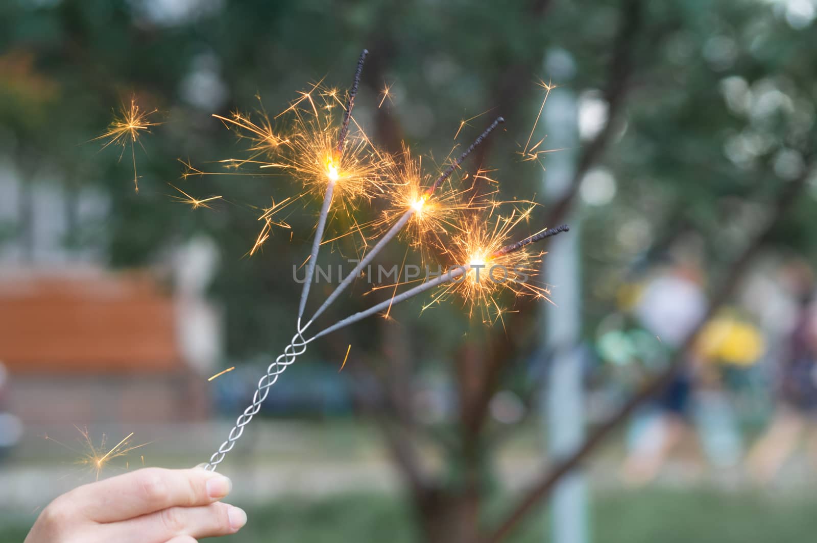 Firing triple bengali light in hand with blurred bakground close-up view.