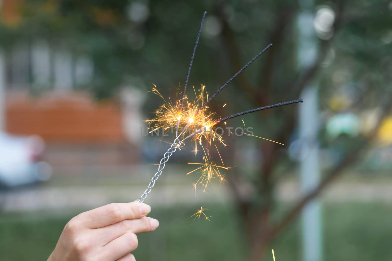Firing triple bengali light in hand with blurred bakground close-up view.