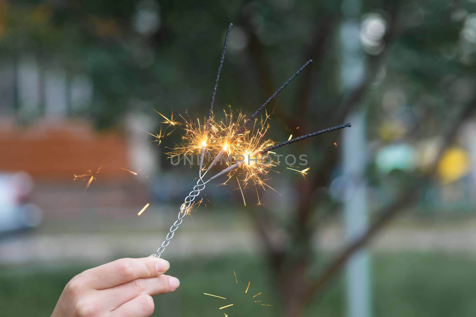 Firing triple bengali light in hand with blurred bakground close-up view.