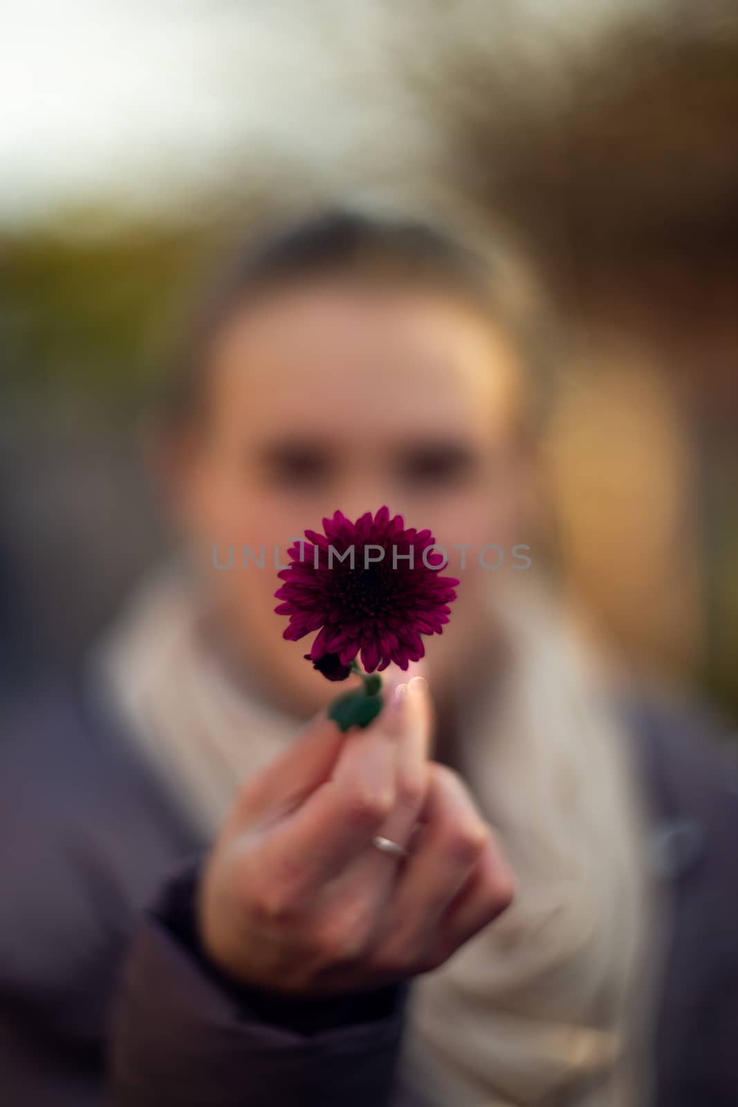 Pretty young girl holds dark purple flower in front of her. Girl is very defocused, soft focus on hand. by alexsdriver