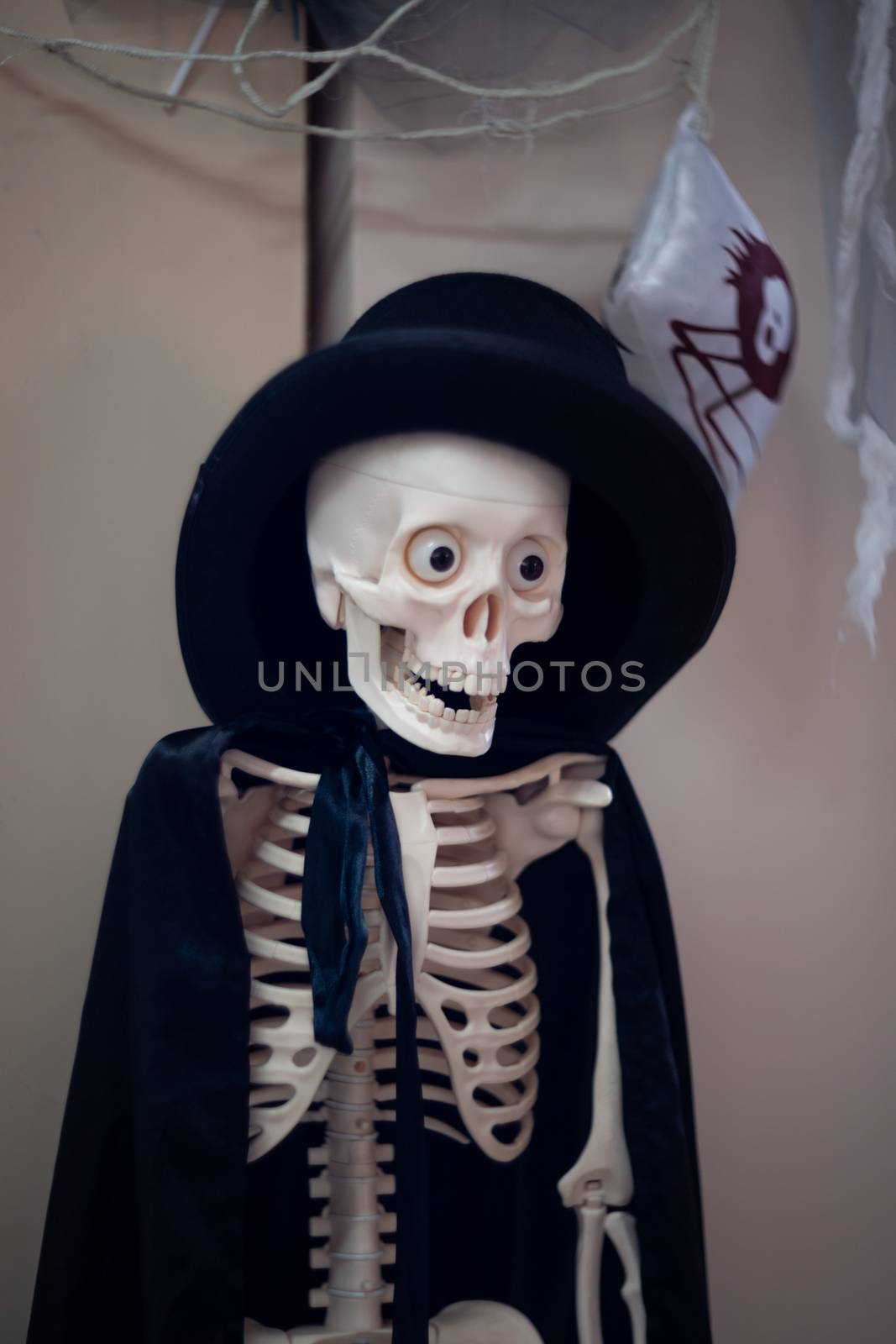 Skeleton with hat on head and cloak. Halloween decoration. by alexsdriver