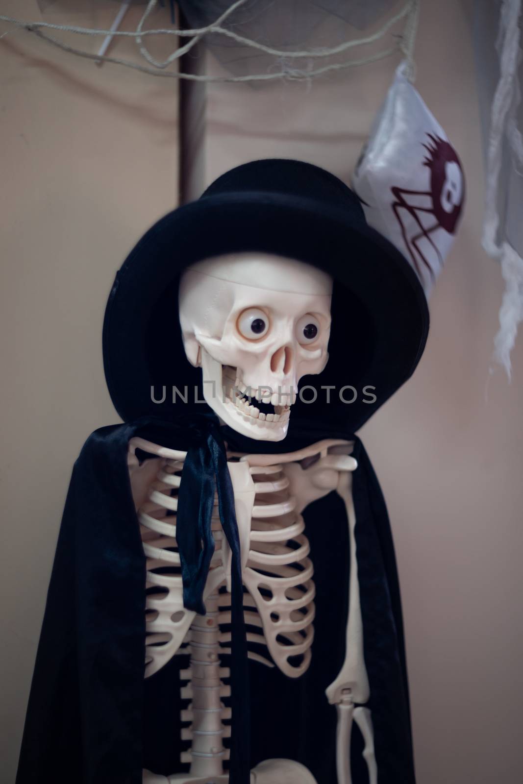 Skeleton with hat on head and cloak. Halloween decoration.