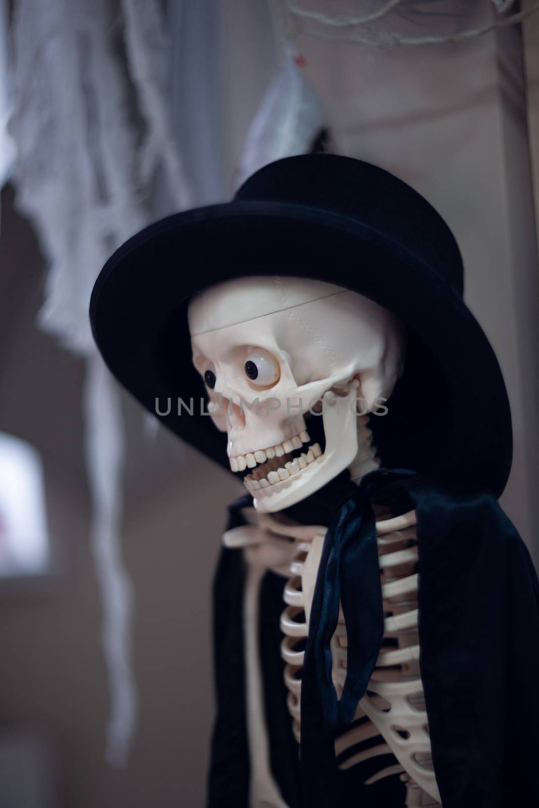 Skeleton with hat on head and cloak. Halloween decoration.