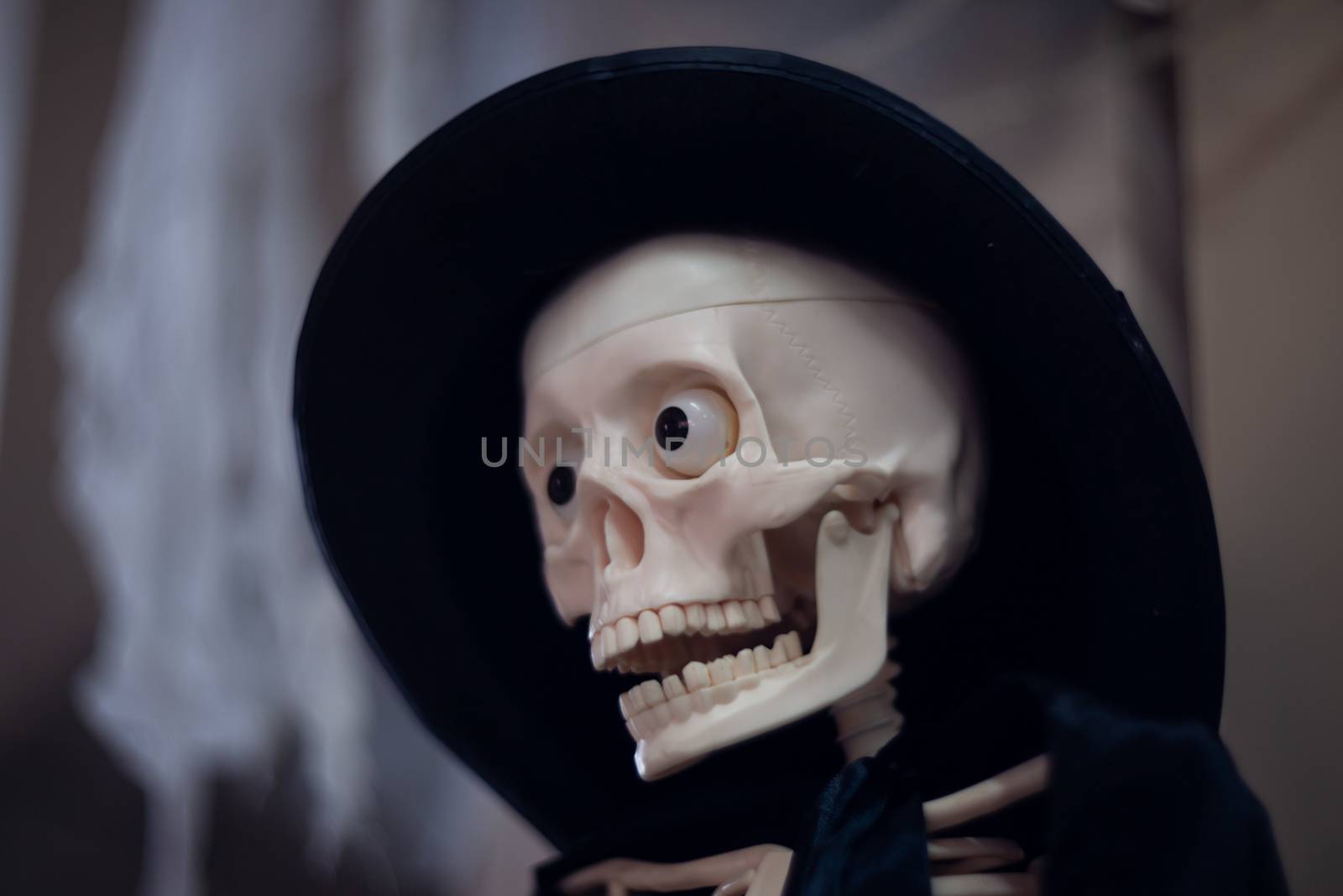 Skeleton with hat on head and cloak. Close-up view. Halloween decoration and blurred background.