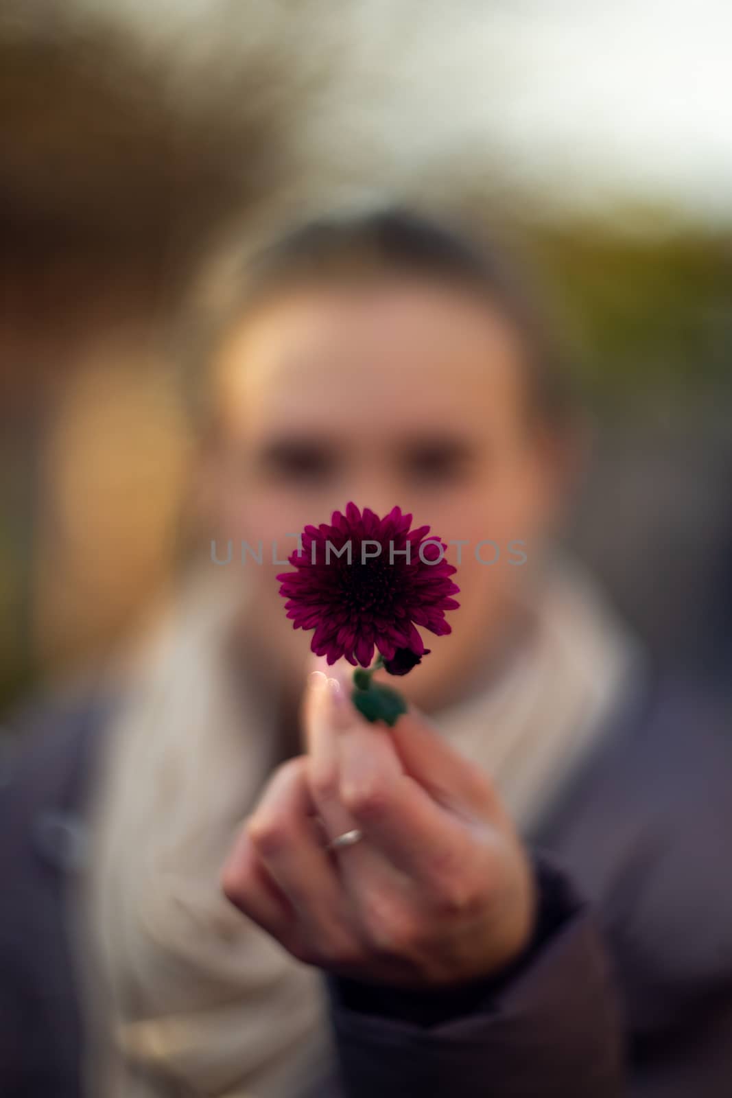 Pretty young girl holds dark purple flower in front of her. Girl is very defocused, soft focus on hand. by alexsdriver