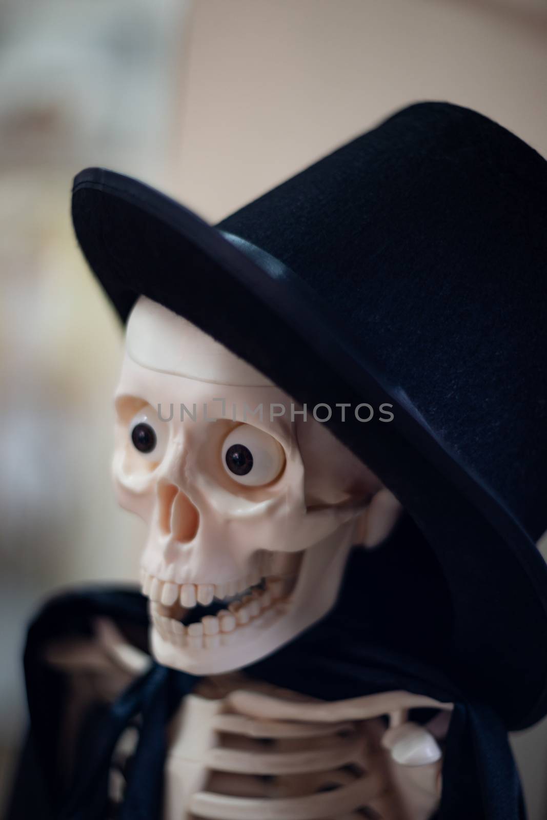 Skeleton with hat on head and cloak. Close-up view. Halloween decoration and blurred background.