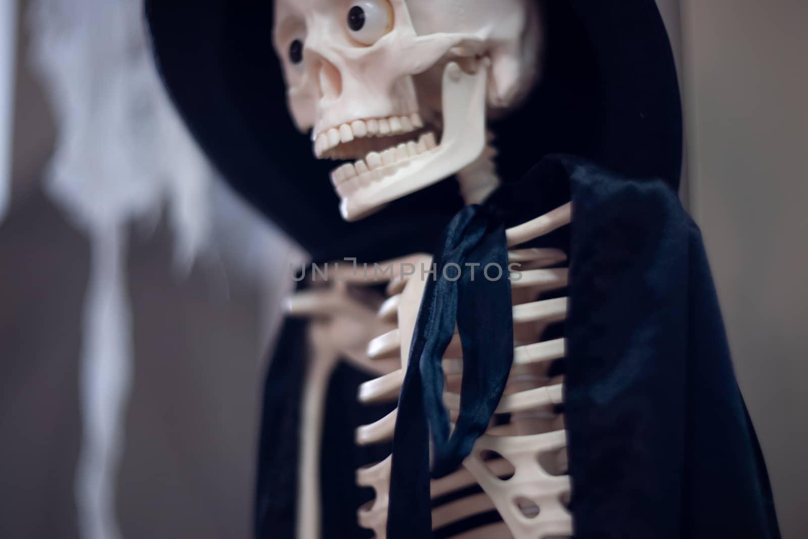 Skeleton with hat on head and cloak. Halloween decoration.