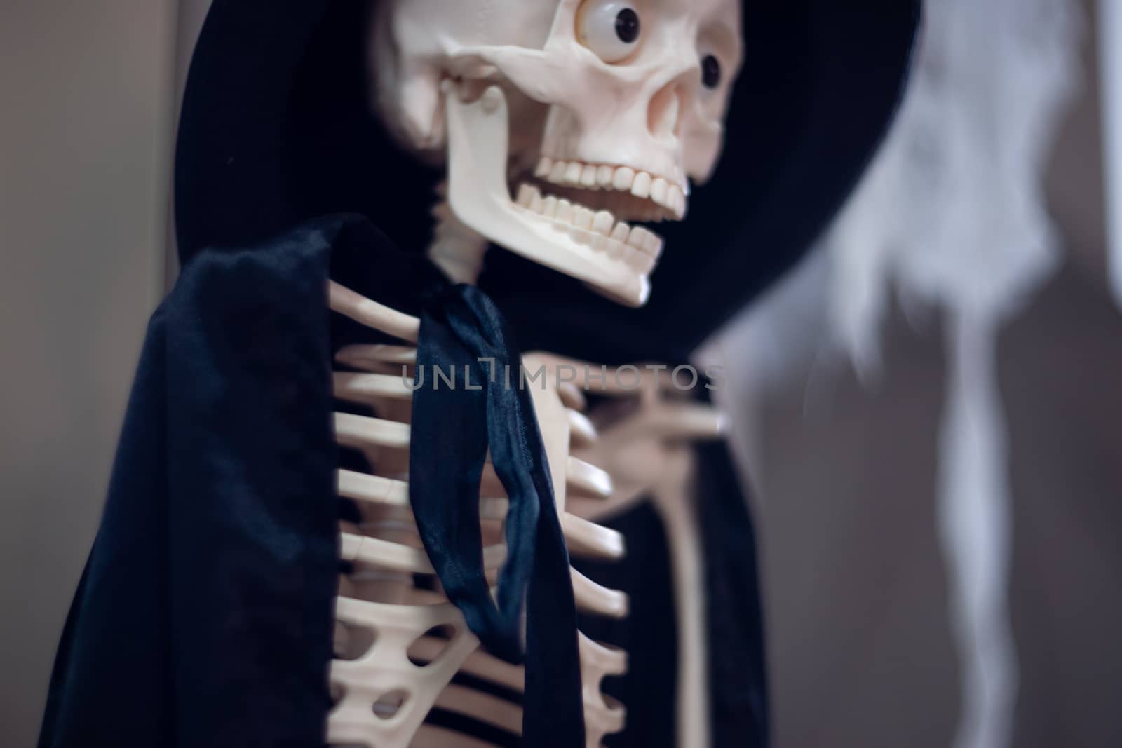 Skeleton with hat on head and cloak. Halloween decoration.
