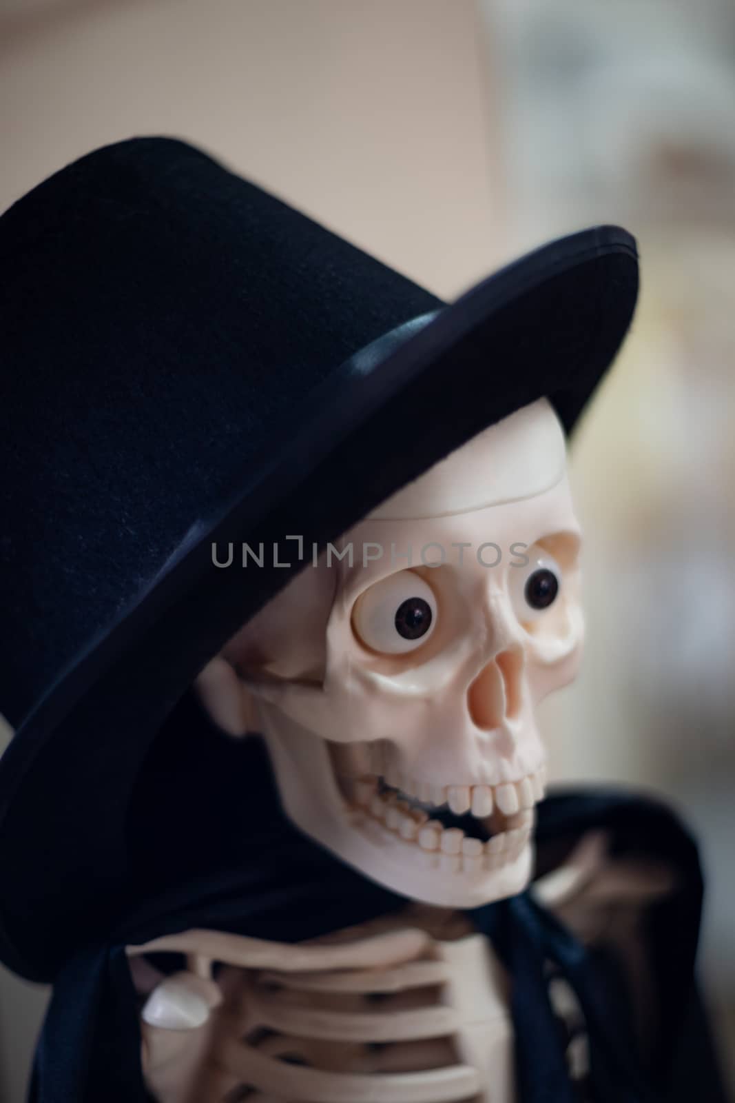 Skeleton with hat on head and cloak. Close-up view. Halloween decoration and blurred background.