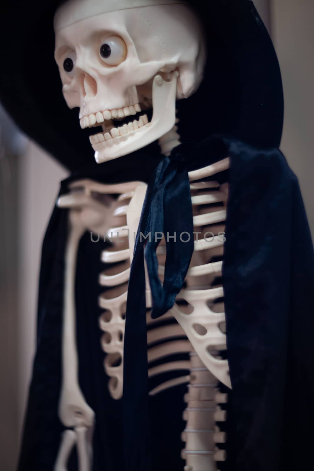 Skeleton with hat on head and cloak. Halloween decoration. by alexsdriver