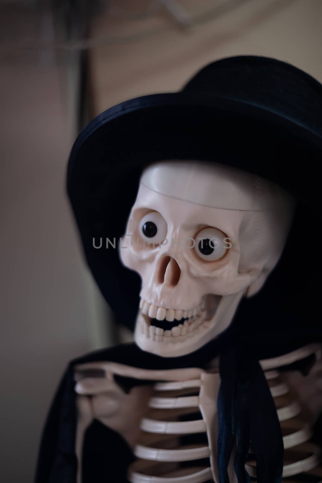 Skeleton with hat on head and cloak. Halloween decoration. Close-up view with blurred background.