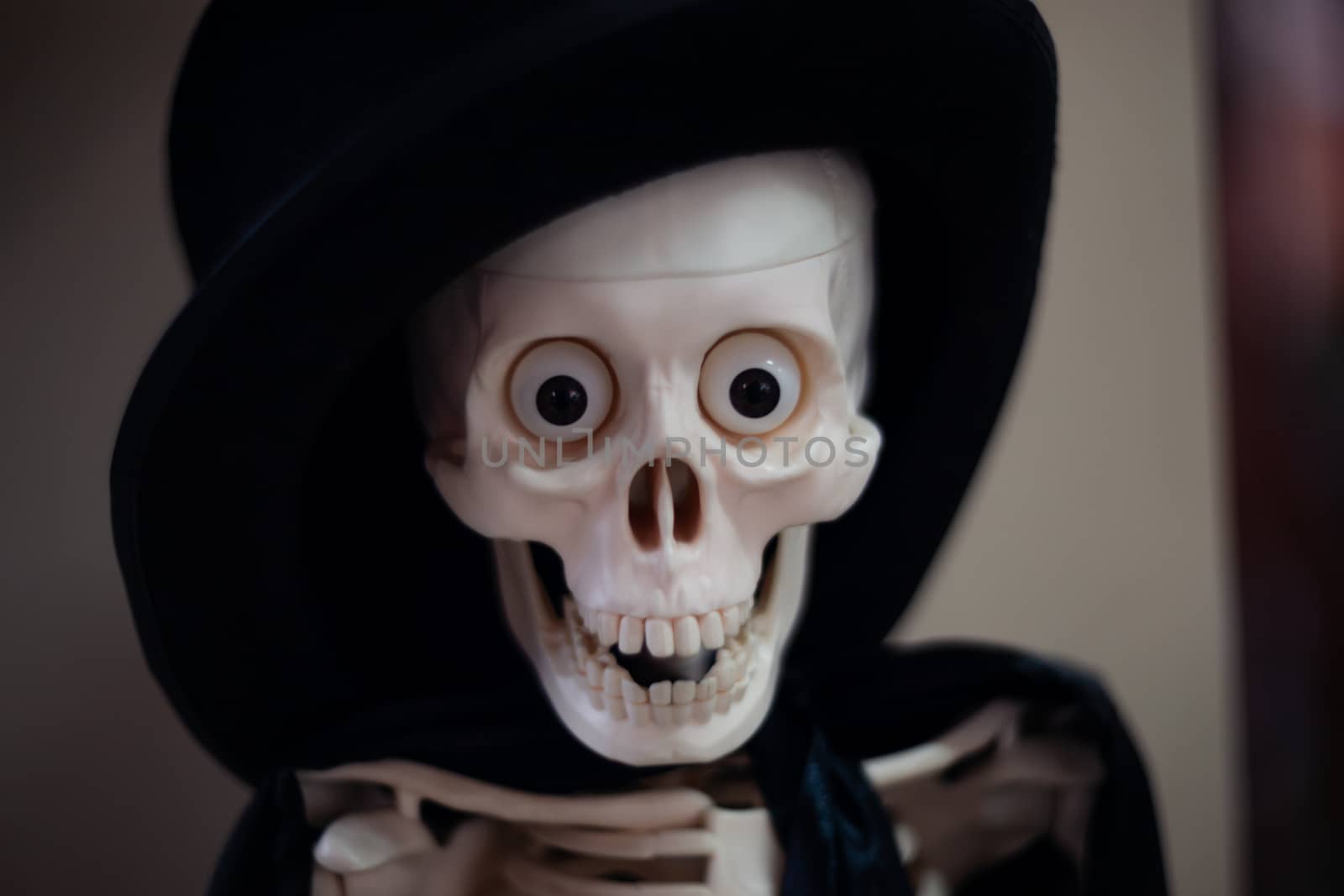 Skeleton with hat on head and cloak. Halloween decoration. Close-up view with blurred background.