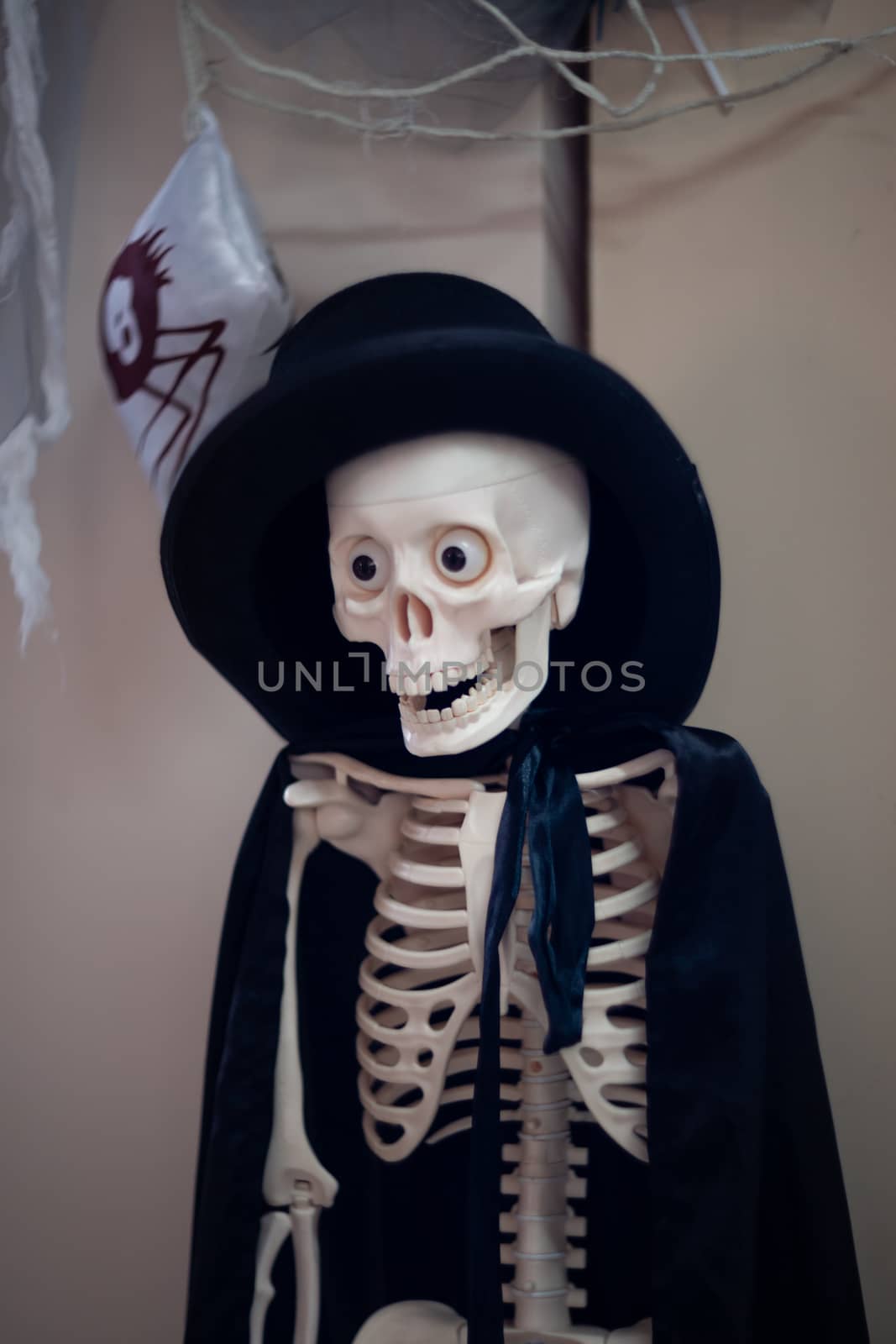 Skeleton with hat on head and cloak. Halloween decoration.