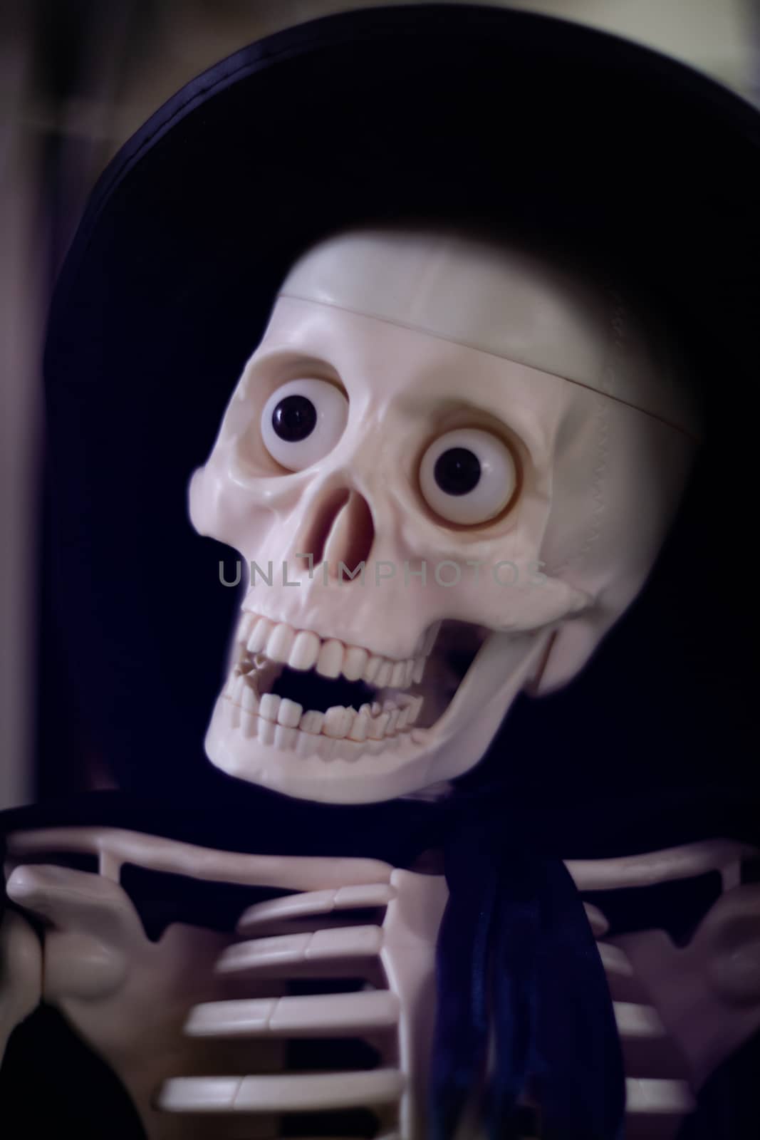 Skeleton with hat on head and cloak. Halloween decoration. Close-up view with blurred background.