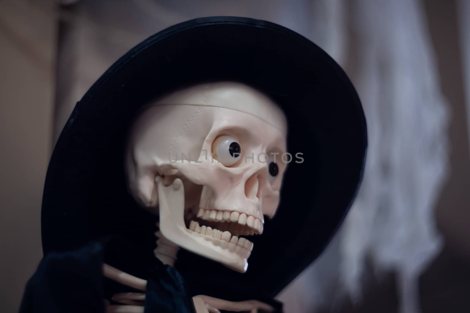 Skeleton with hat on head and cloak. Close-up view. Halloween decoration and blurred background.