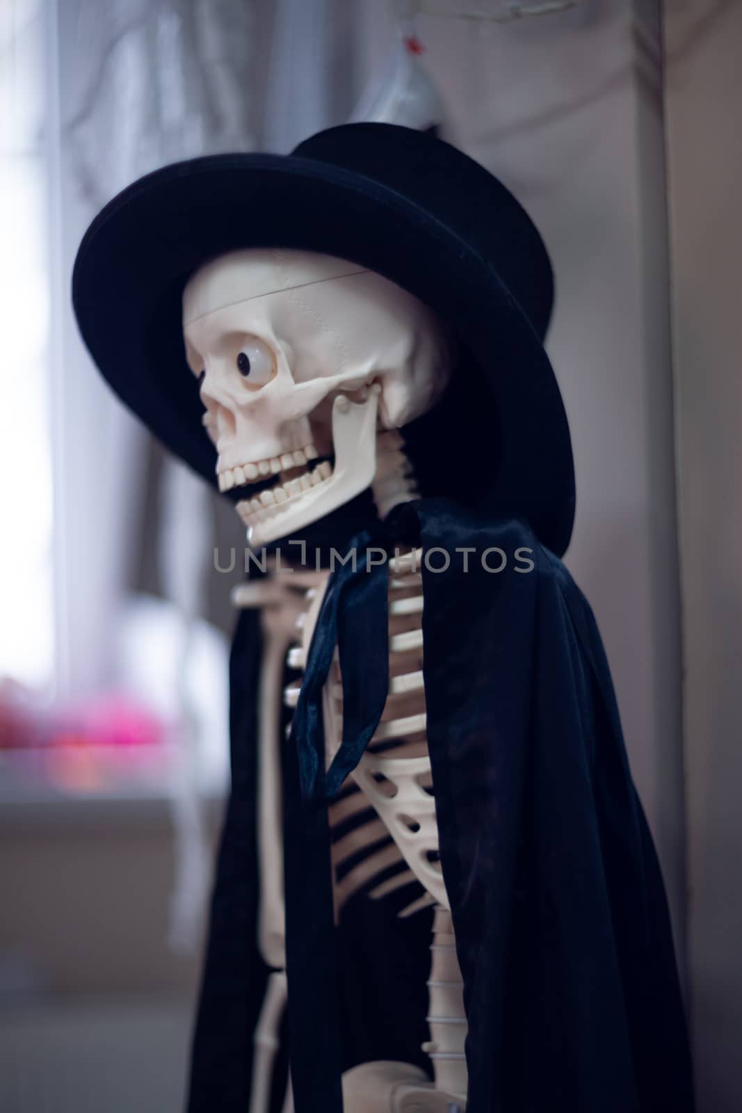 Skeleton with hat on head and cloak. Halloween decoration.