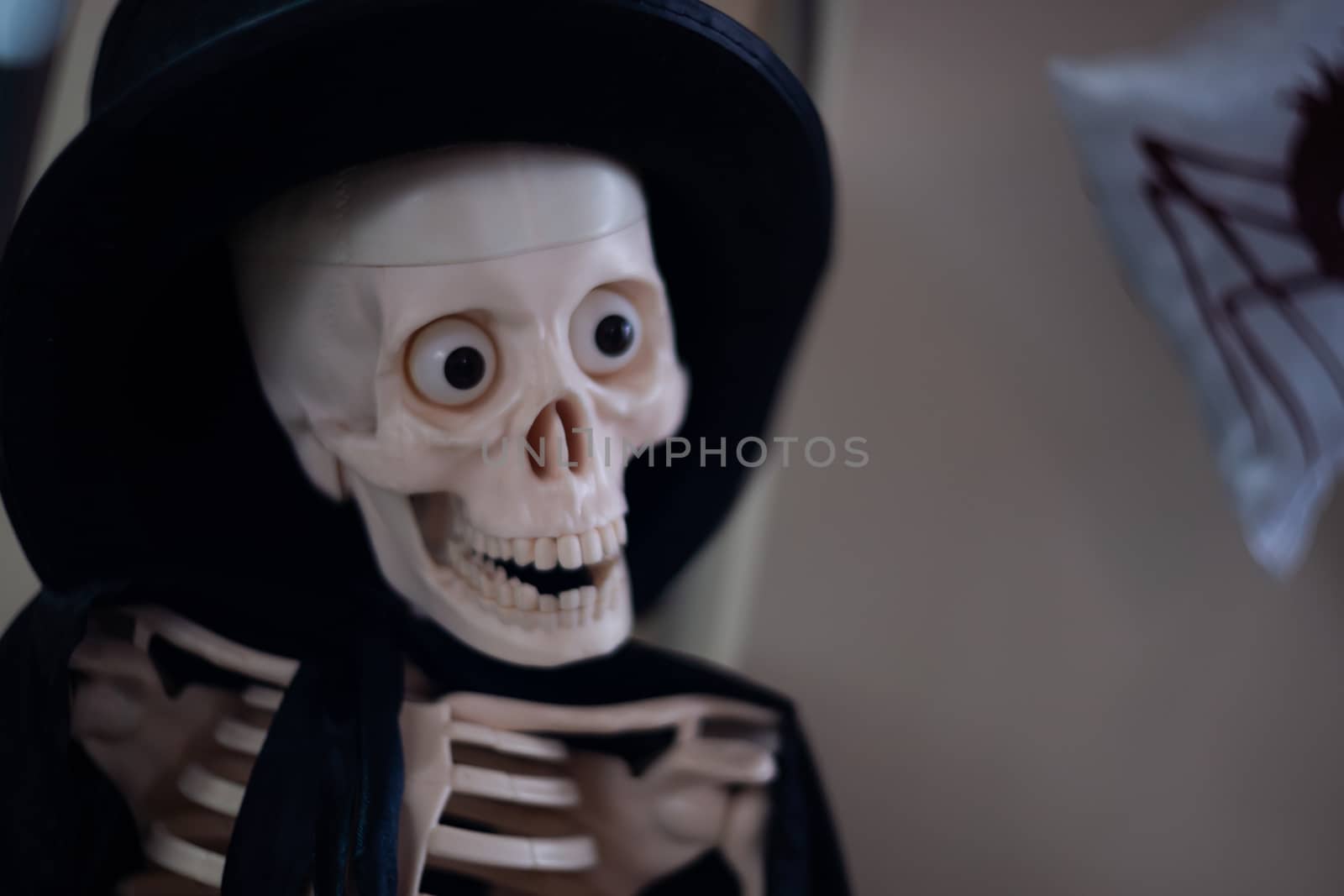 Skeleton with hat on head and cloak. Halloween decoration. Close-up view with blurred background.