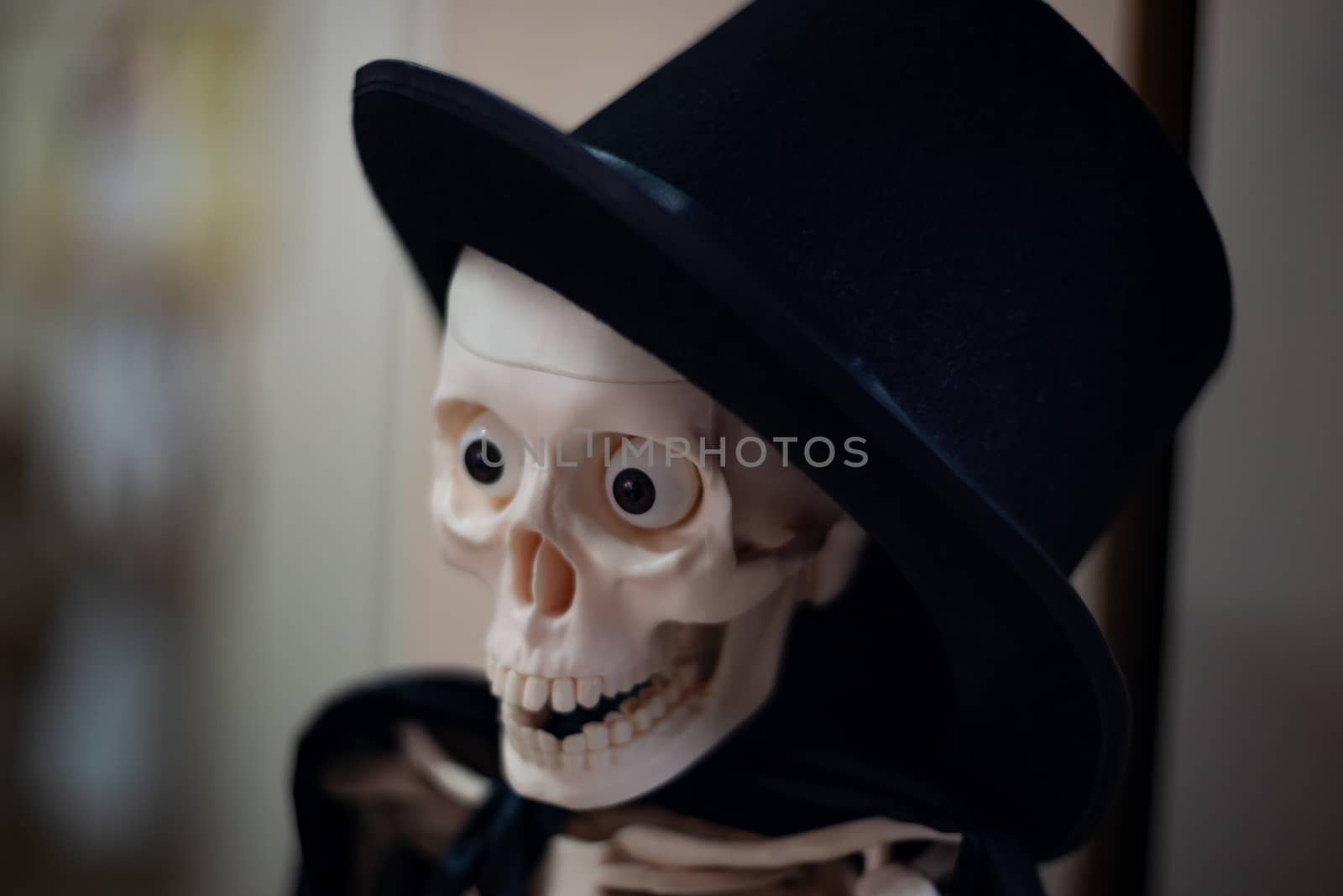 Skeleton with hat on head and cloak. Close-up view. Halloween decoration and blurred background.