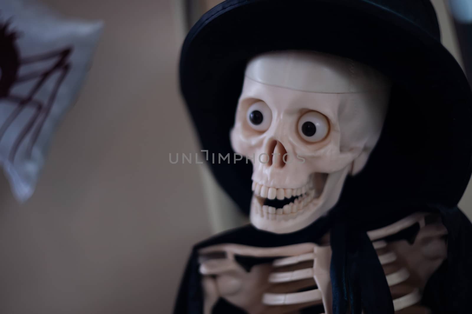 Skeleton with hat on head and cloak. Halloween decoration. Close-up view with blurred background.