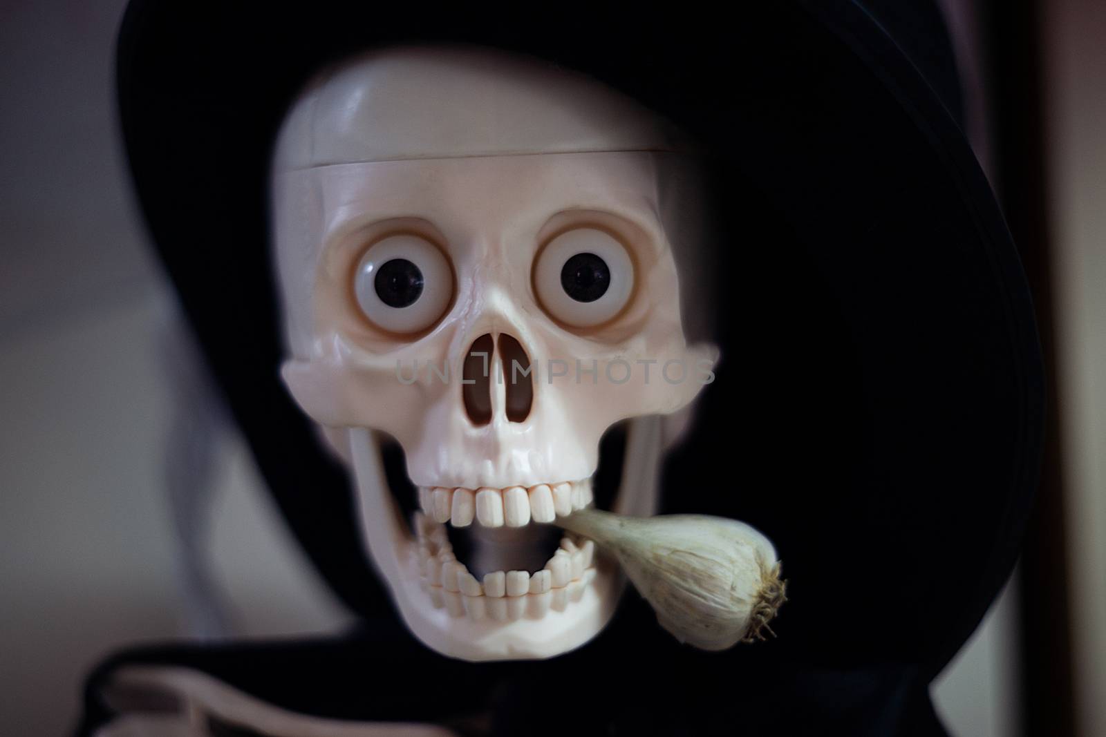 Skeleton with hat on head and cloak with garlic in mouth. Halloween decoration. Close-up view with blurred background.