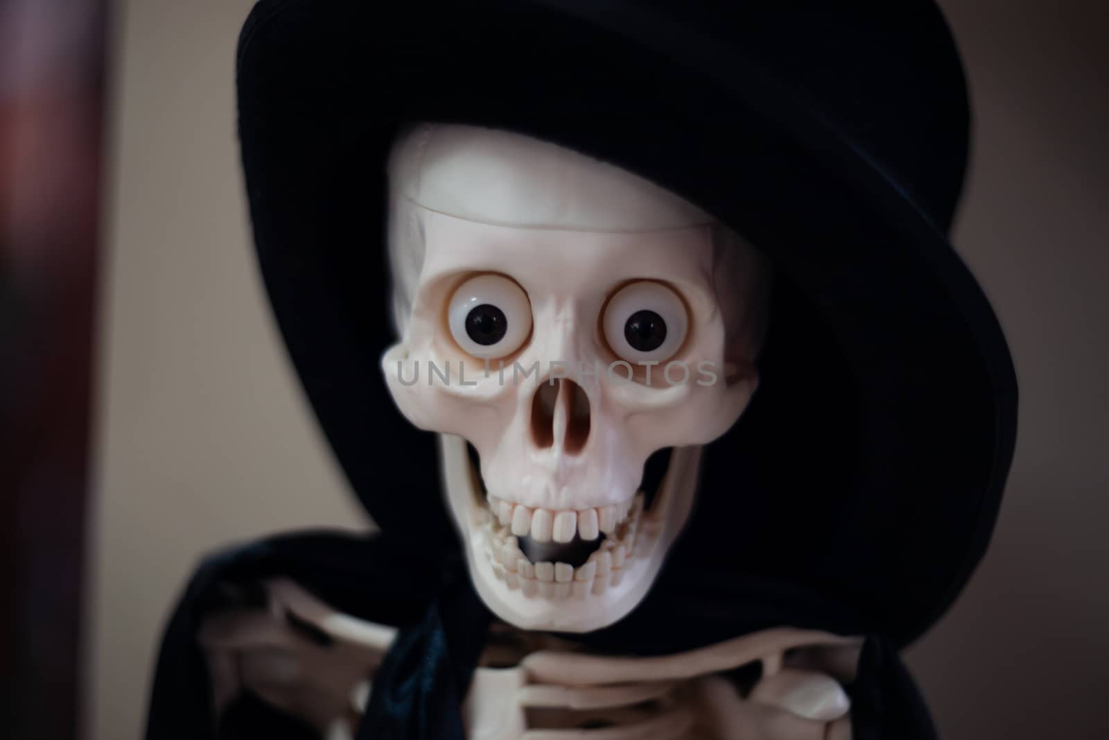 Skeleton with hat on head and cloak. Halloween decoration. Close-up view with blurred background.