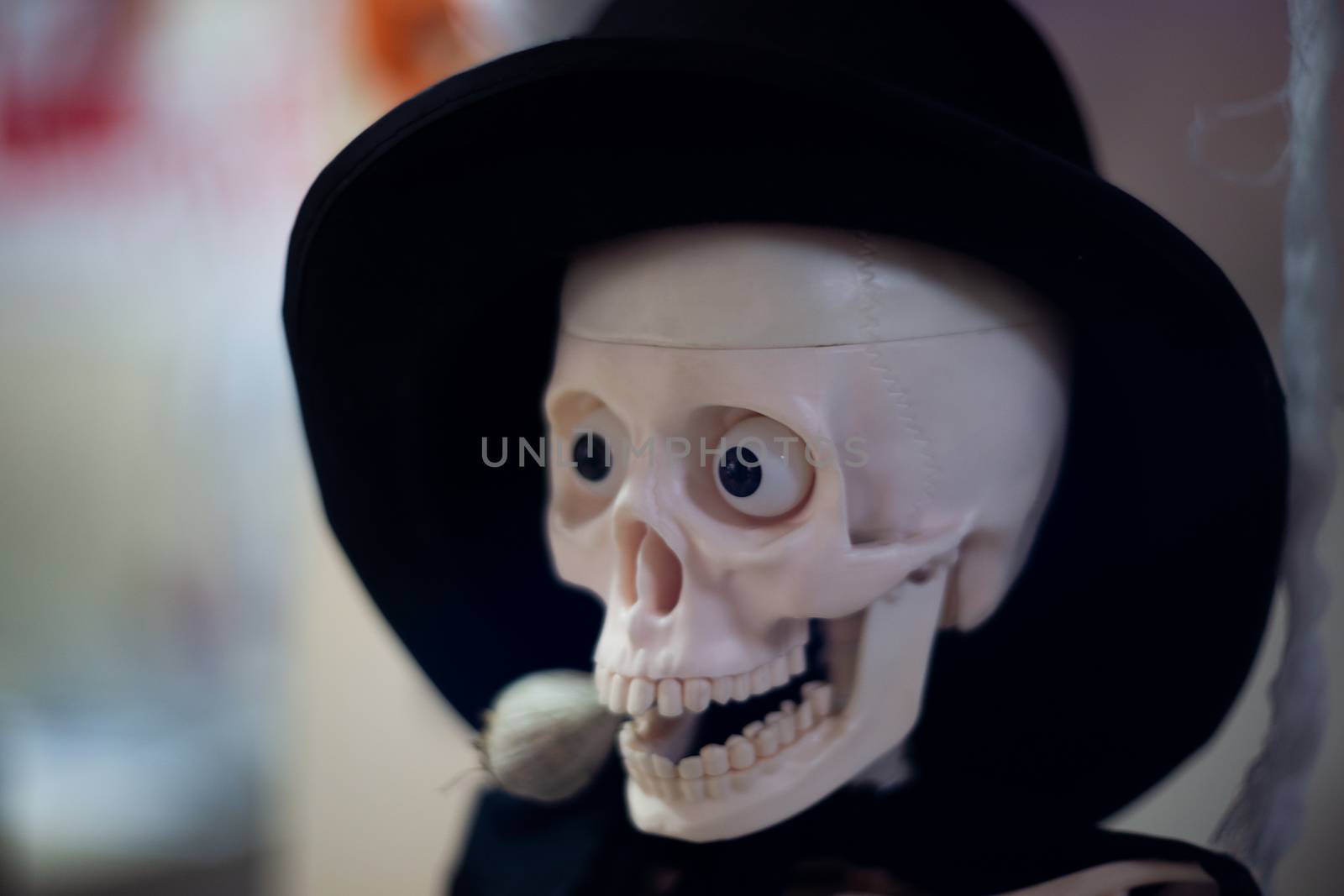 Skeleton with hat on head and cloak with garlic in mouth. Halloween decoration. Close-up view with blurred background.