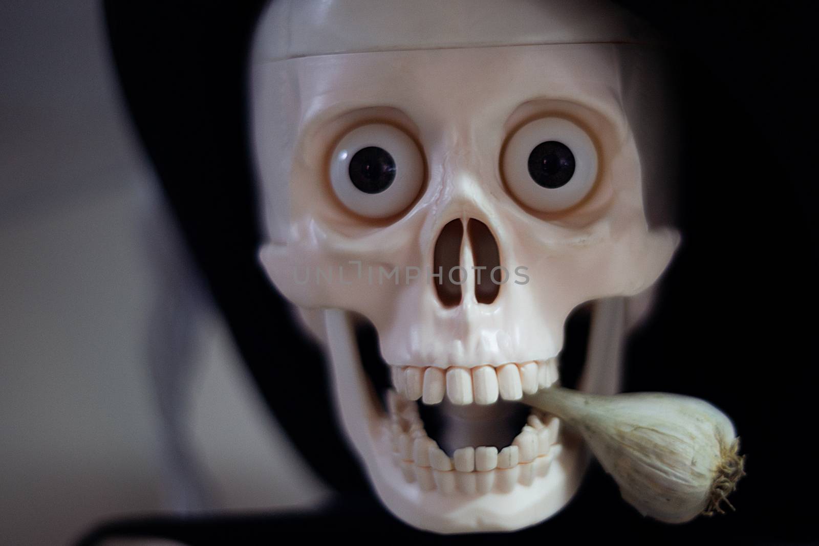 Skeleton with hat on head and cloak with garlic in mouth. Halloween decoration. Close-up view with blurred background.