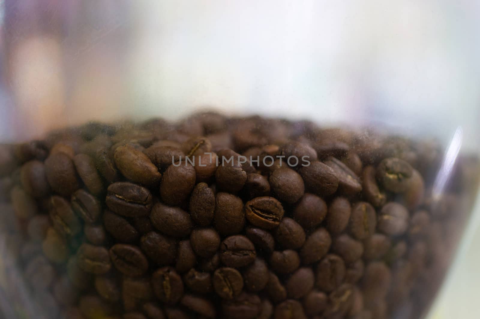 Fresh roasted Arabica coffee beansIn coffee grinder bunker.
