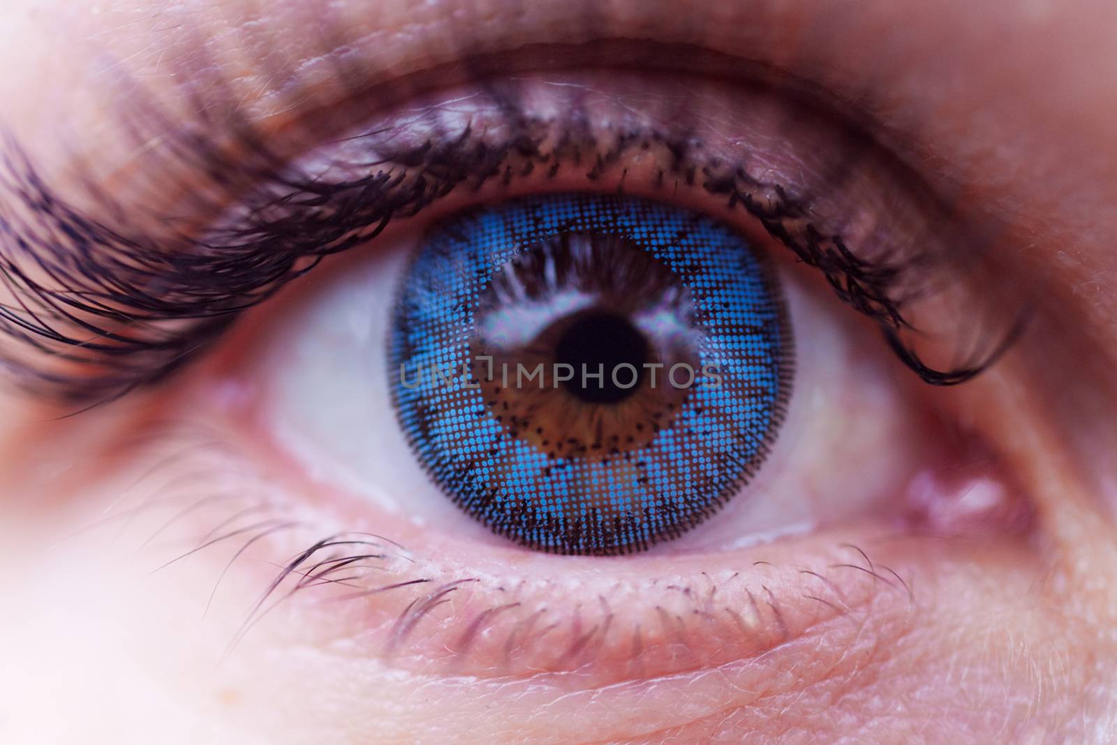 Woman eye with blue contact lens. Eyelashes is defocused.