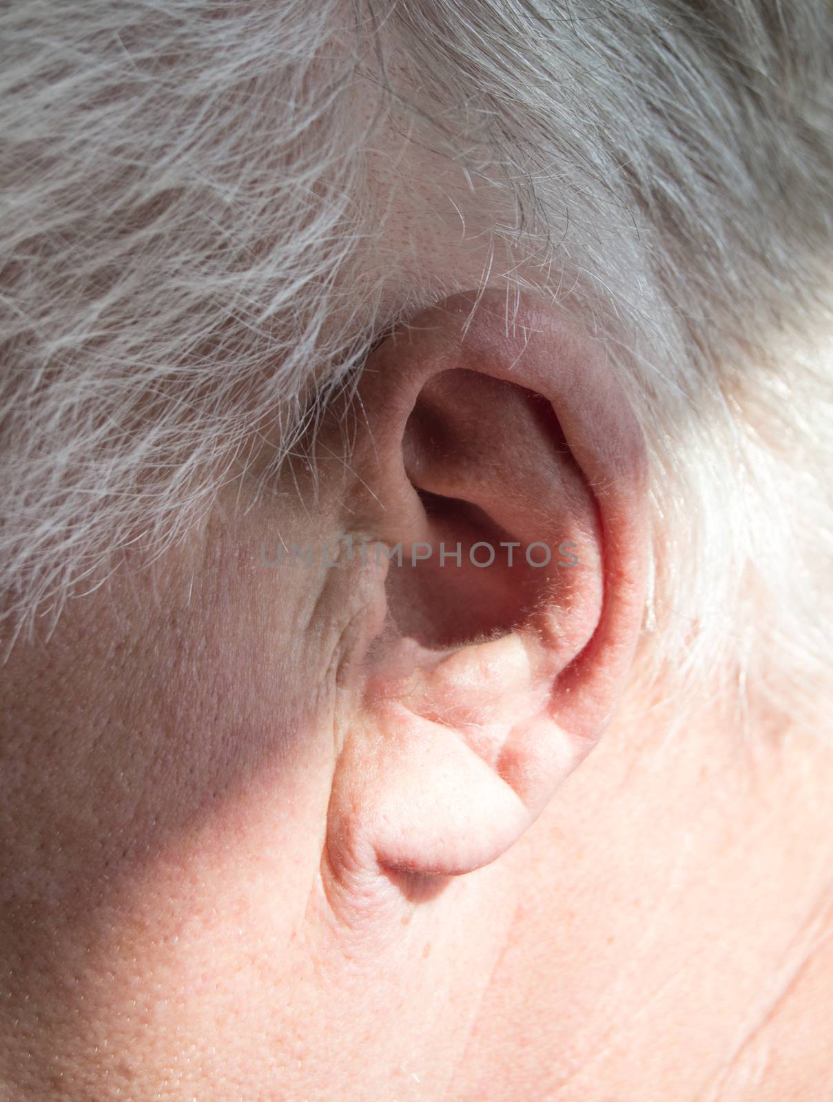 Left ear of a gray-haired elderly man with hearing loss, hearing problems, the concept of rehabilitation of old deaf people.