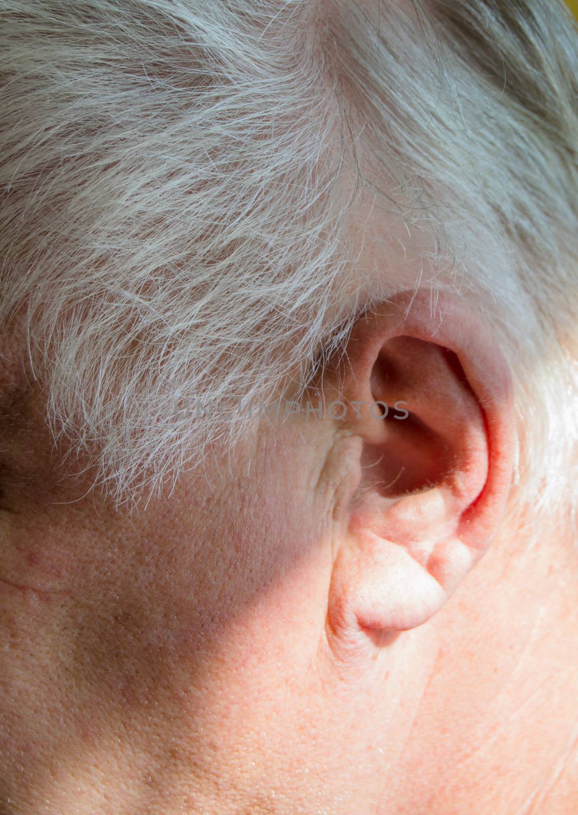 Left ear of a gray-haired elderly man with hearing loss, hearing problems, the concept of rehabilitation of old deaf people.