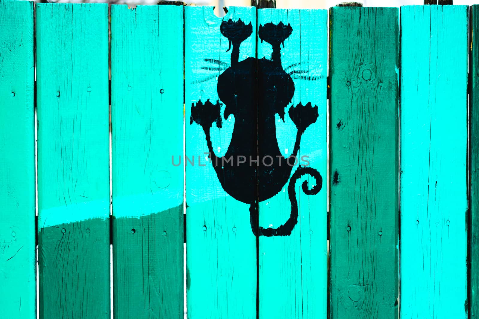 painted fence of wooden boards