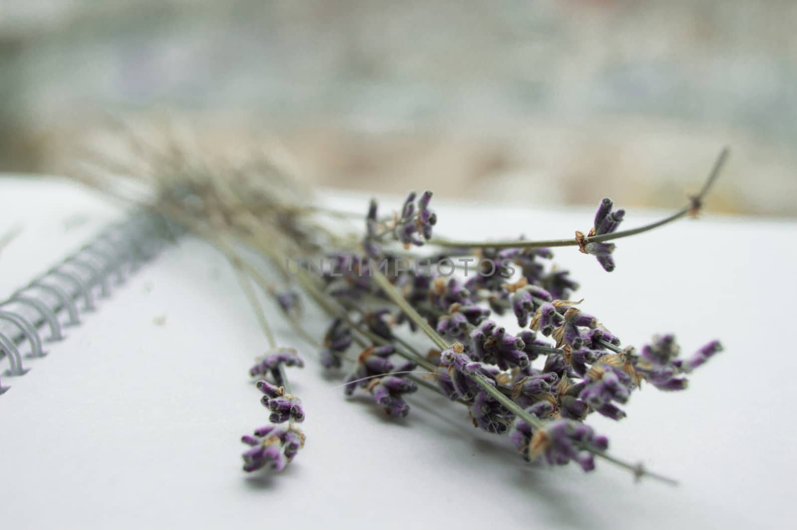 Lavender bouquet on an open notebook, selective focus, romantic card, mock-up for the design and decoration of the theme of romance and love.