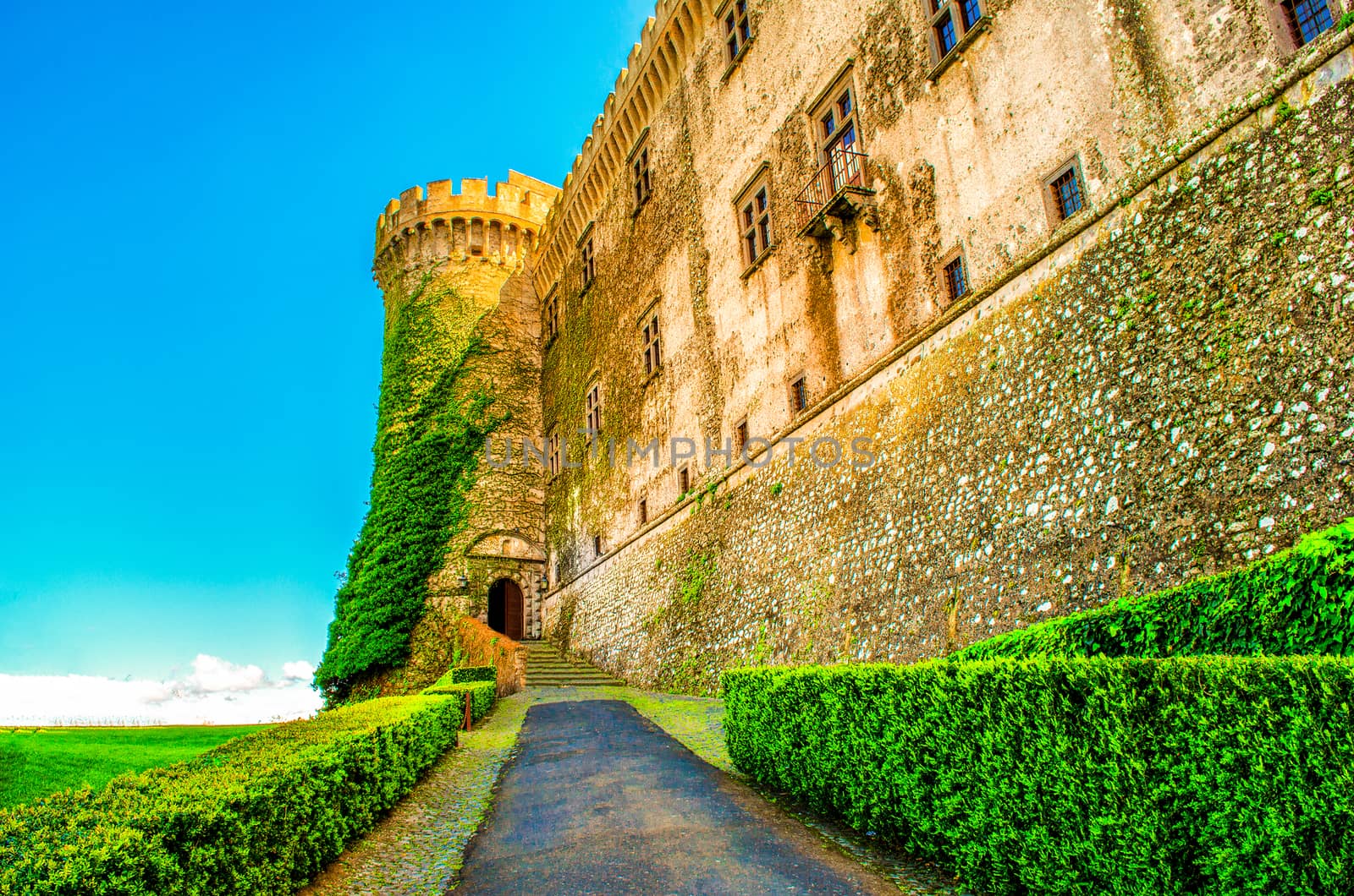 entry castle Bracciano vine plants - Bracciano castle is famous italy destination landmark near Rome in Lazio by LucaLorenzelli