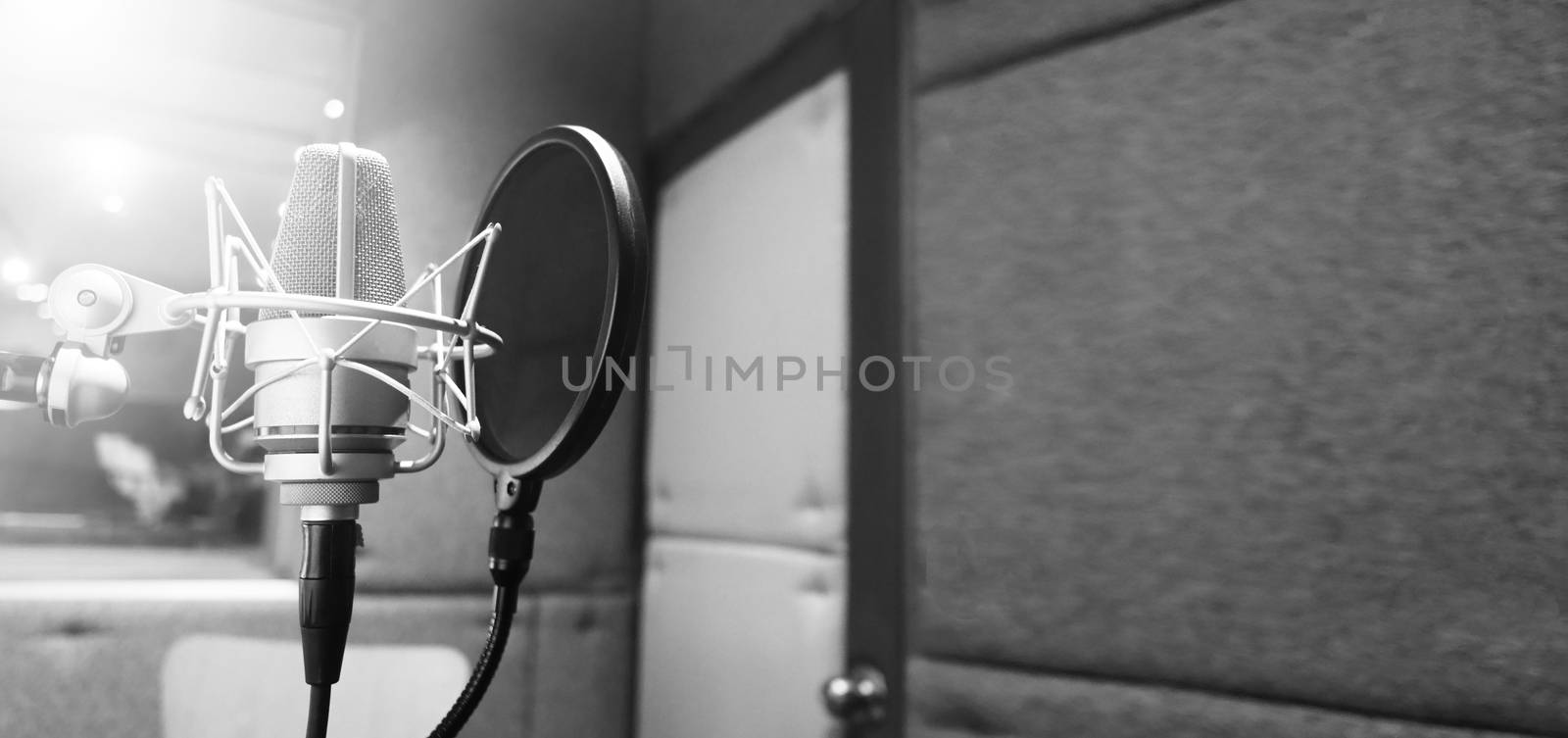 Studio microphone with shock mount and pop filter  by gnepphoto