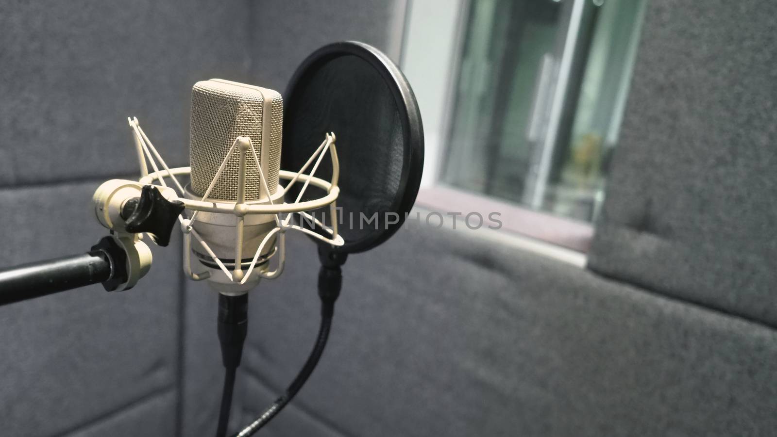 Studio microphone with shock mount and pop filter  by gnepphoto