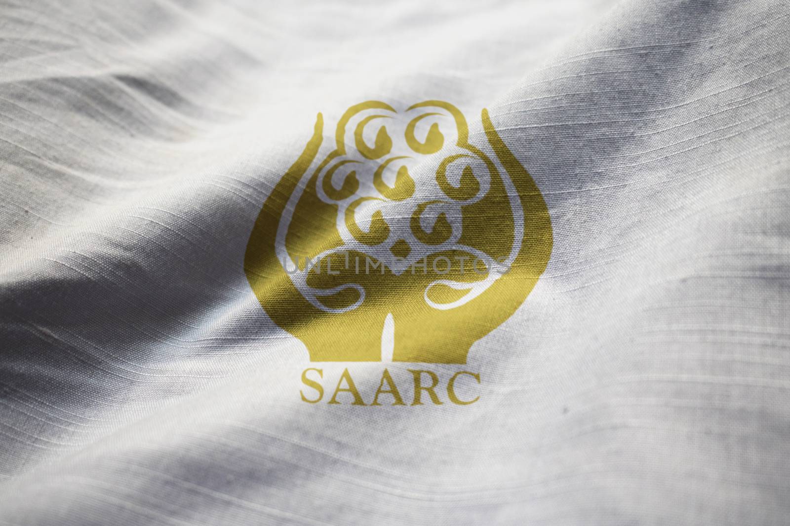 Closeup of Ruffled SAARC Flag, SAARC Flag Blowing in Wind