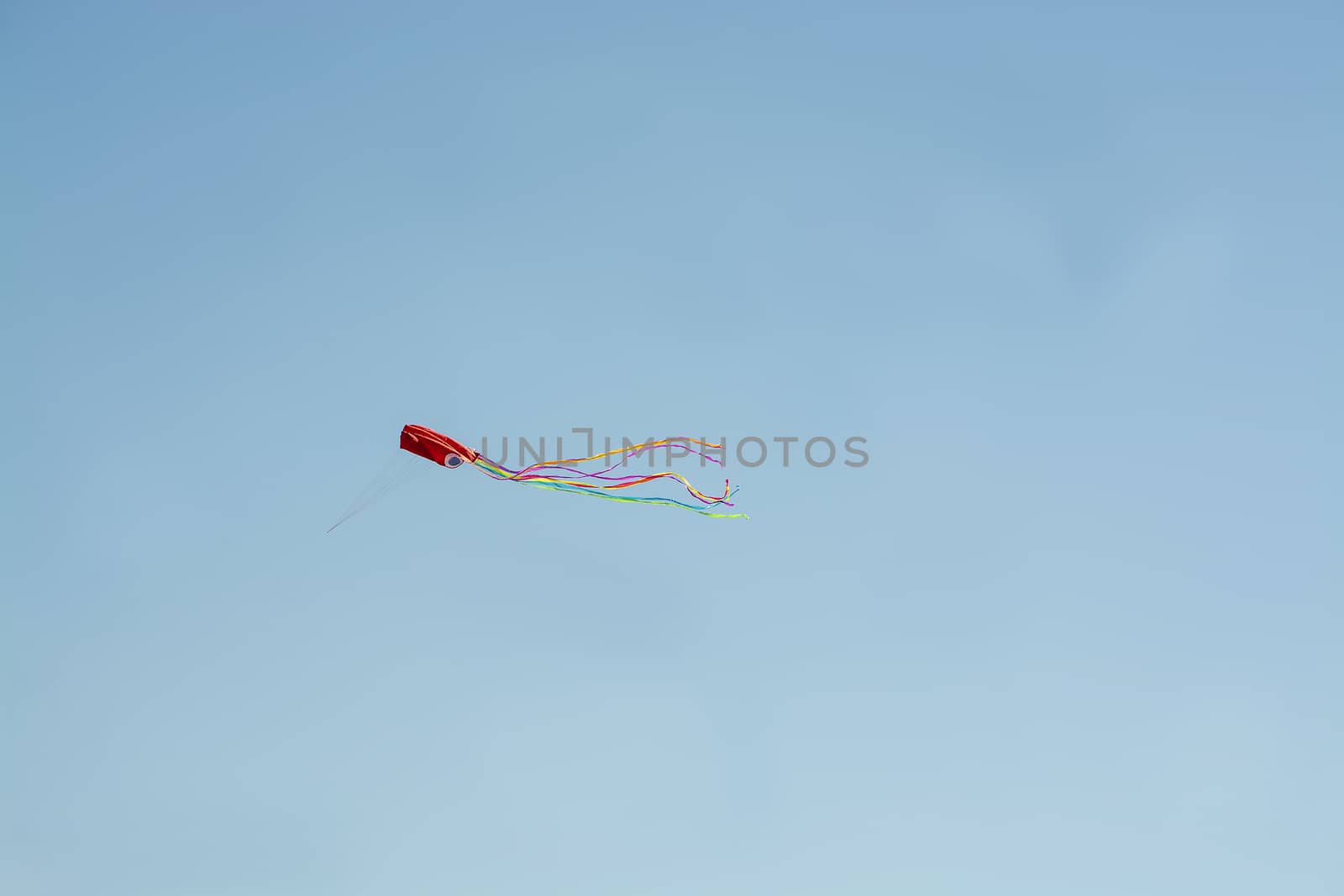 Red kite flying high against blue sky in Mallorca, Spain.