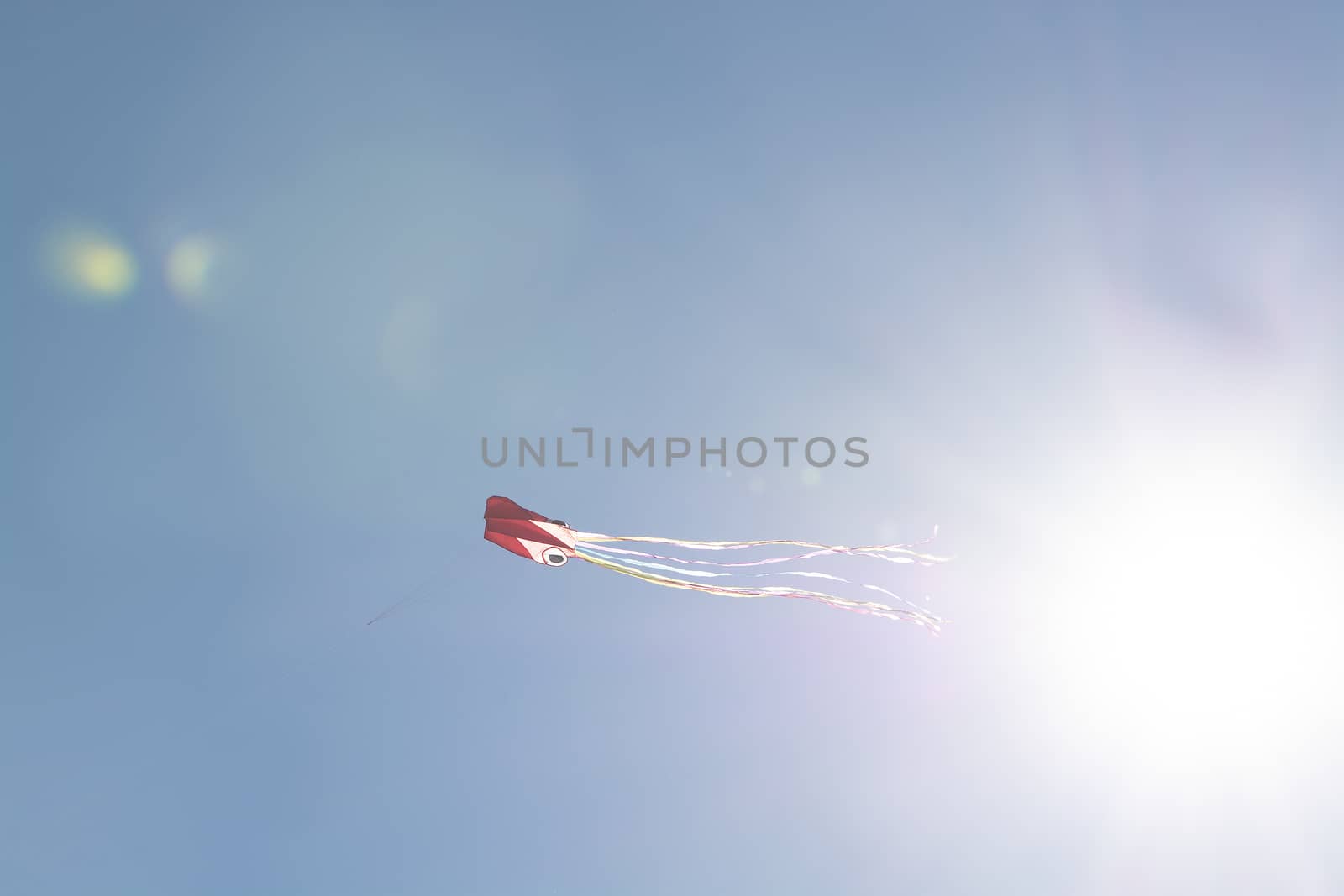 Red kite flying high against blue sky in Mallorca, Spain.