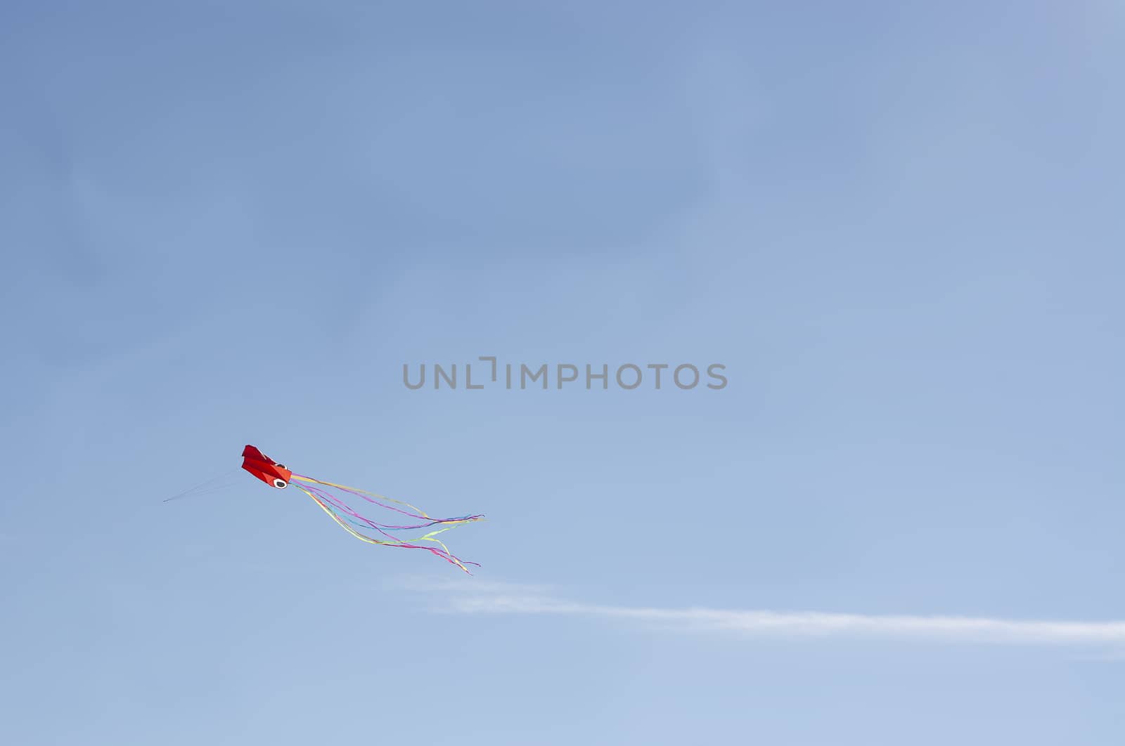 Red kite flying high against blue sky in Mallorca, Spain.