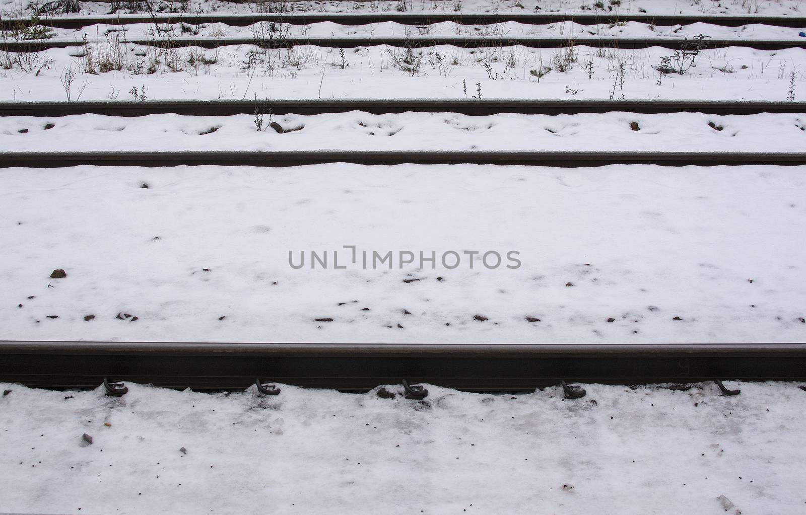 Horizontal railroad tracks in snow and daylight