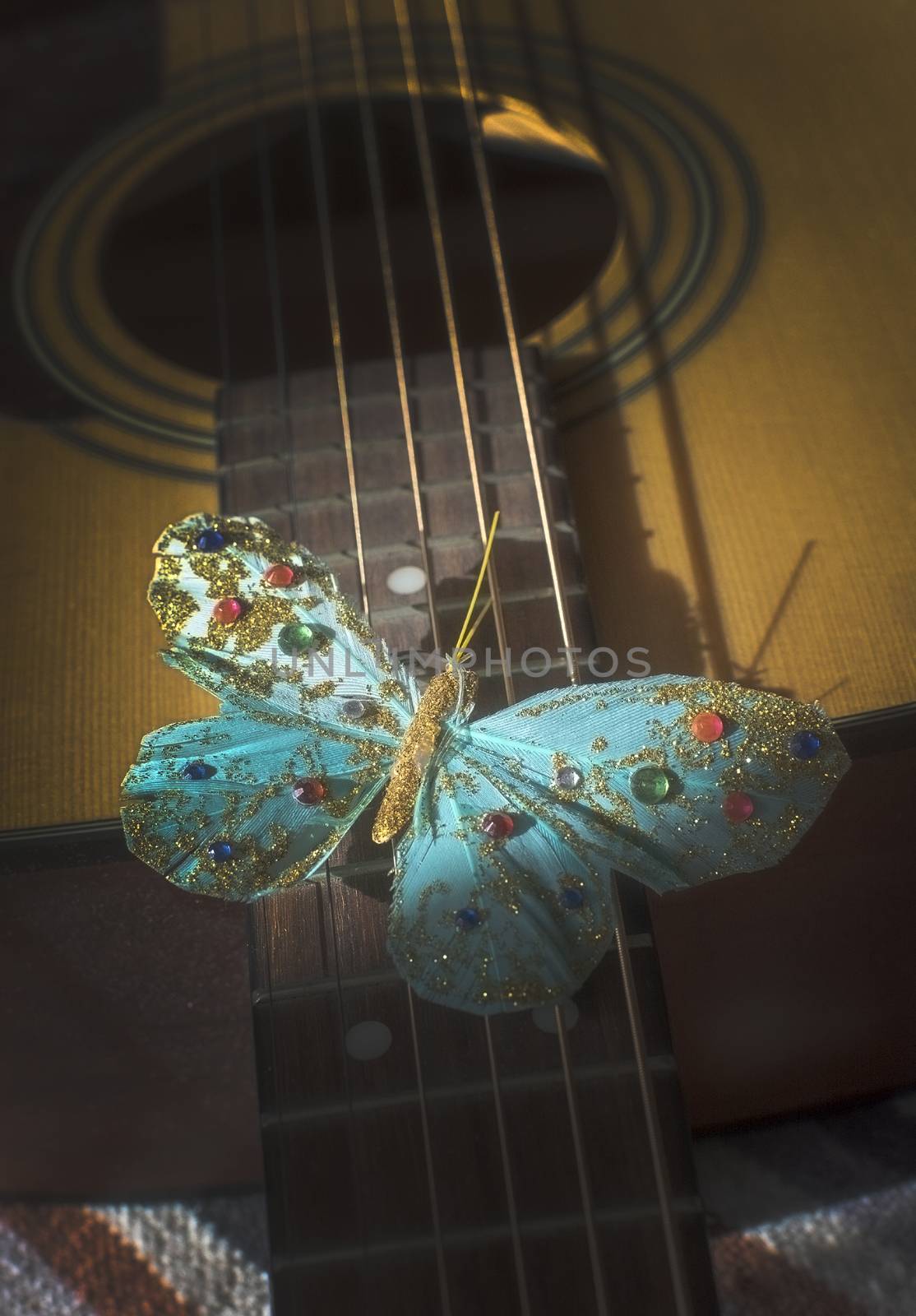 Turquoise butterfly on strings of acoustic guitar, by ArtesiaWells